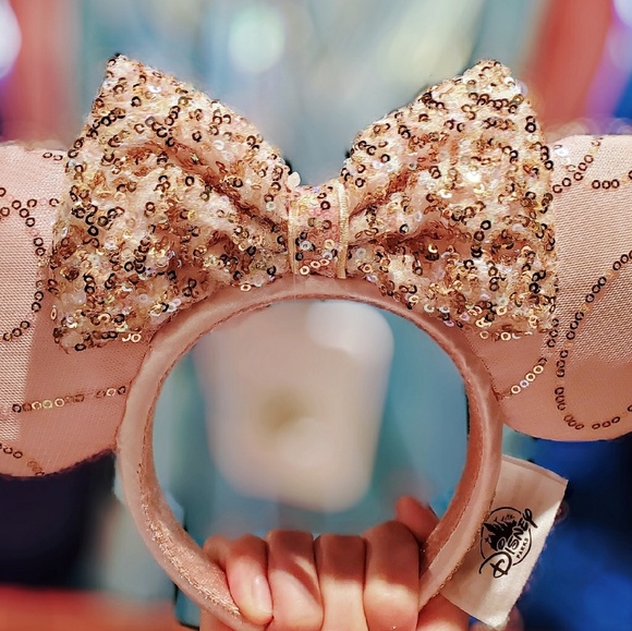 DISNEY PARKS BIBBIDI BOBBIDI *BEST DAY EVER* EARS - Picture 2 of 7